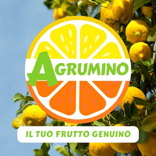 Agrumino Il tuo frutto genuino!